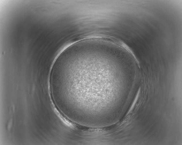 X0000065240811200602211211