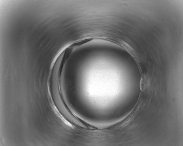 X0000065240812200602211211