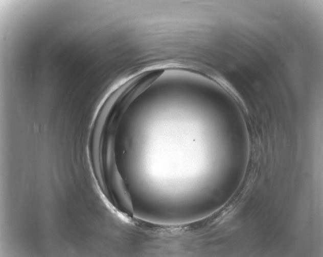 X0000065240813200602211211