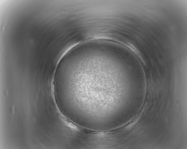 X0000065240814200602211211