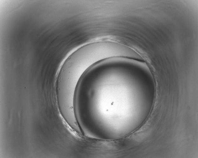 X0000065240816200602211211