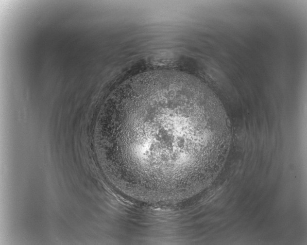 X0000065240817200602211210