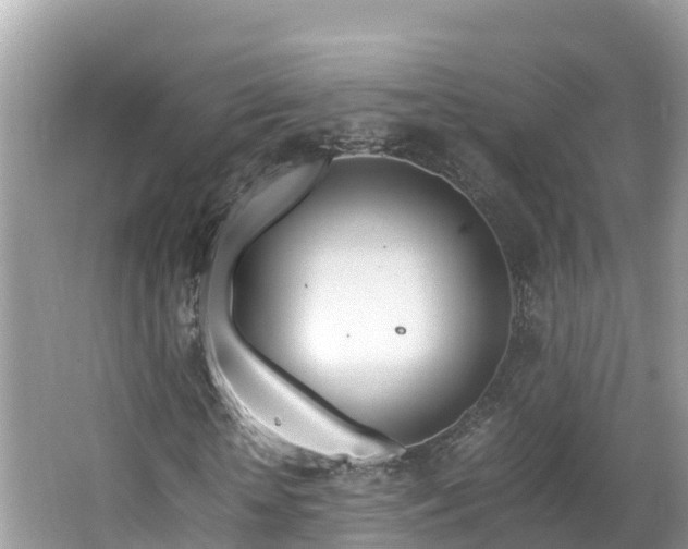 X0000065240818200602211210