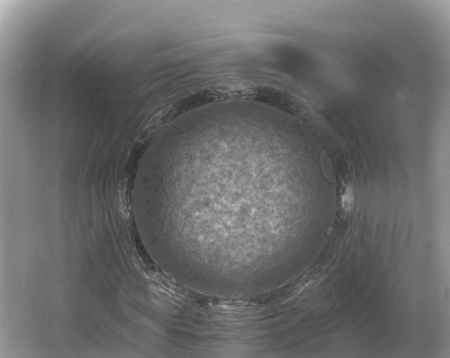 X0000065240819200602211210