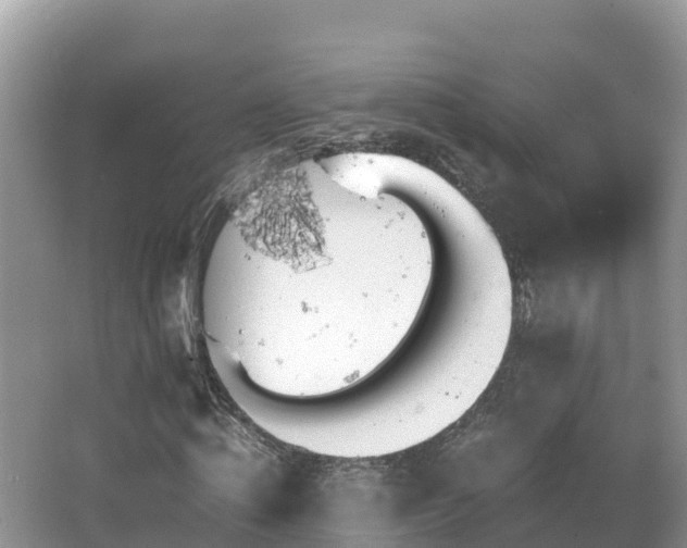 X0000065240820200602211210