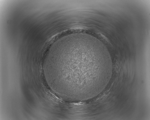 X0000065240821200602211210