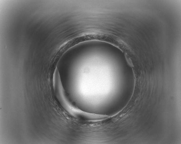 X0000065240822200602211210