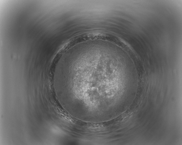 X0000065240823200602211210