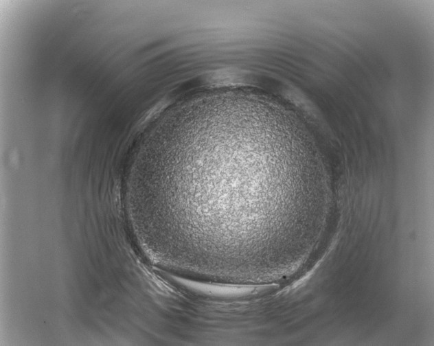 X0000065240825200602211210