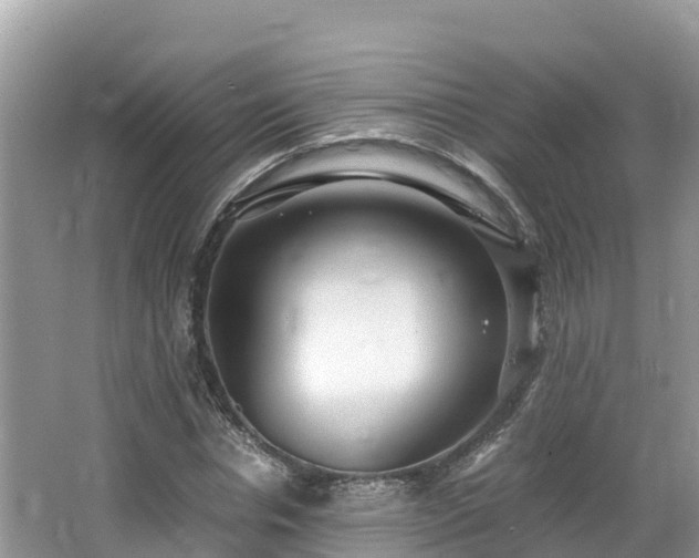 X0000065240826200602211210