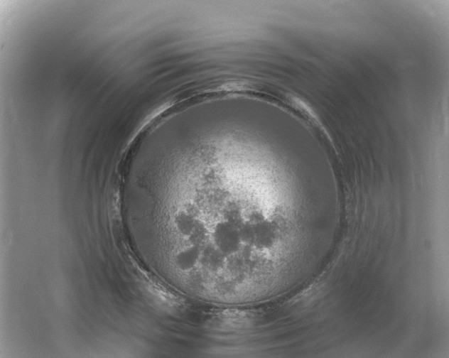 X0000065240827200602211210