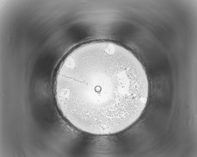 X0000065240828200602211210