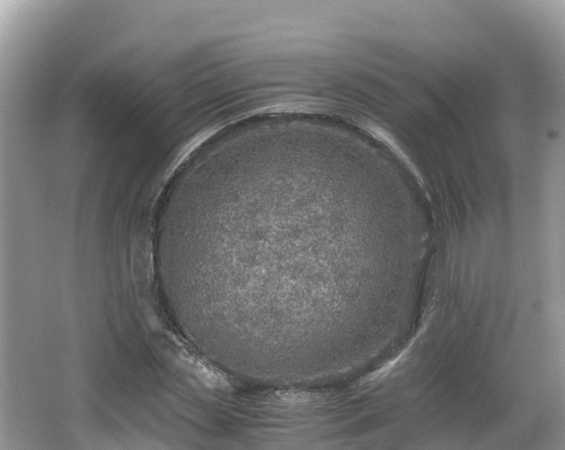 X0000065240829200602211210