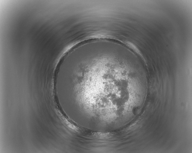 X0000065240831200602211210