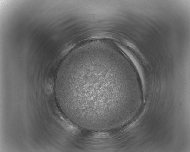 X0000065240833200602211210