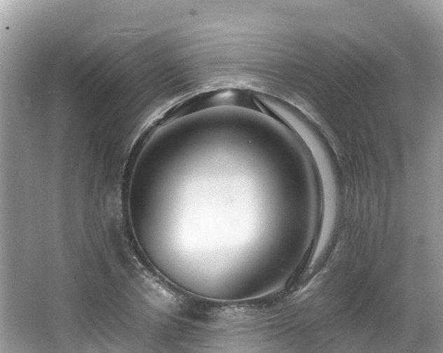 X0000065240834200602211210