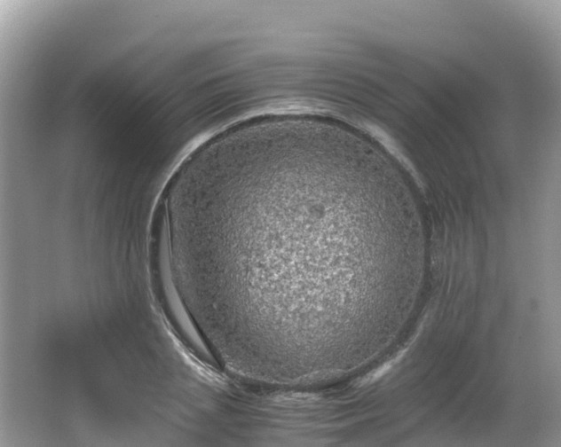 X0000065240837200602211210