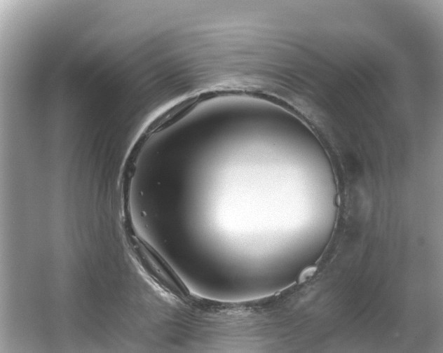 X0000065240838200602211210