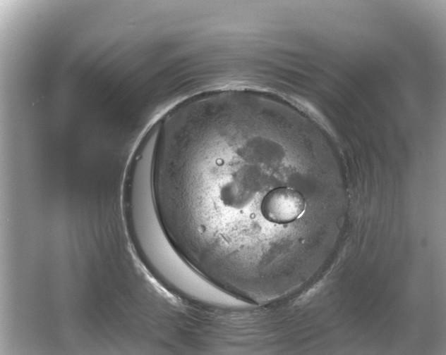 X0000065240839200602211210