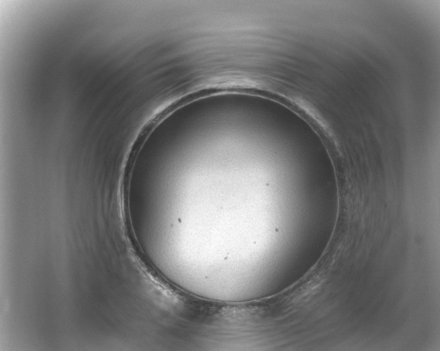 X0000065240840200602211210