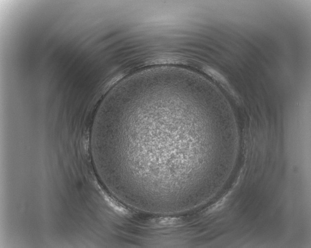 X0000065240841200602211210