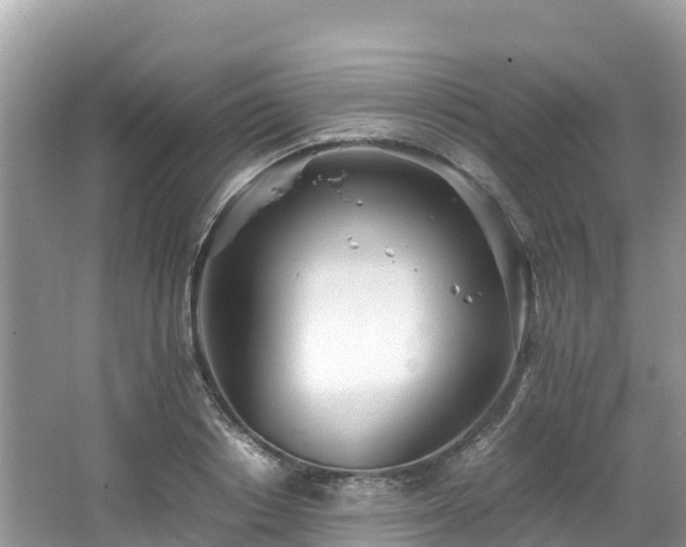 X0000065240842200602211211