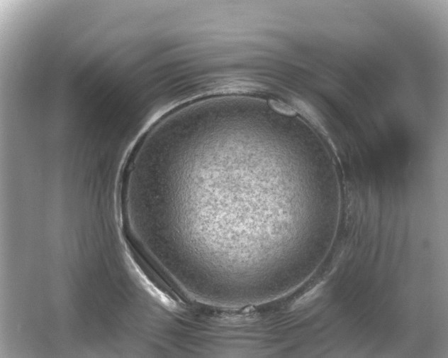 X0000065240843200602211211