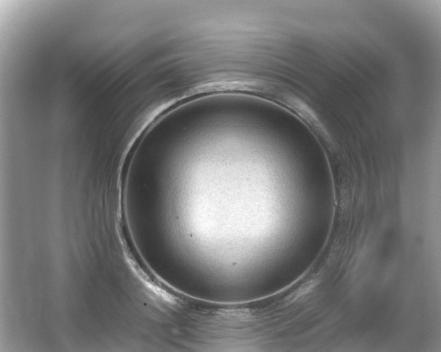 X0000065240844200602211211