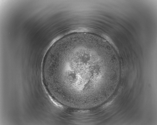 X0000065240845200602211211