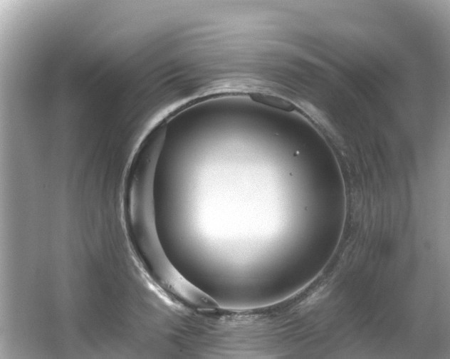 X0000065240846200602211211