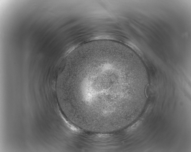 X0000065240849200602211211