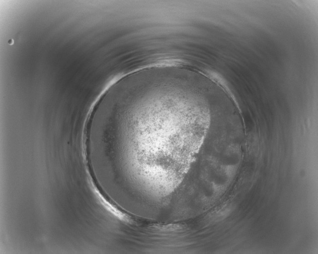 X0000065240851200602211211