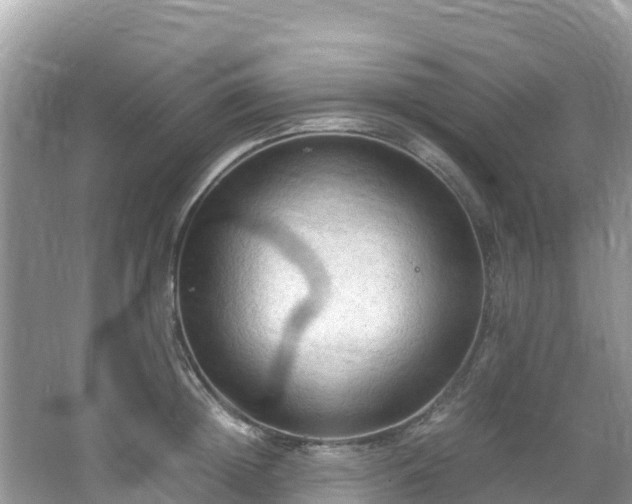 X0000065240852200602211211