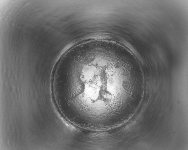 X0000065240853200602211211