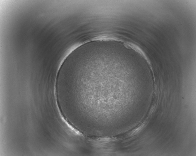 X0000065240855200602211211