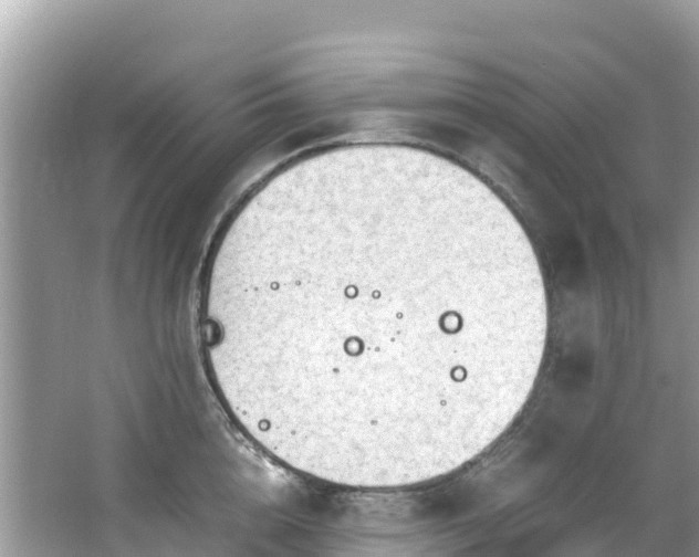 X0000065240856200602211211