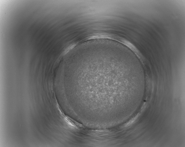 X0000065240857200602211211