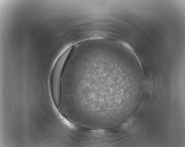 X0000065240859200602211211