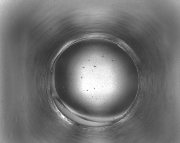 X0000065240860200602211211