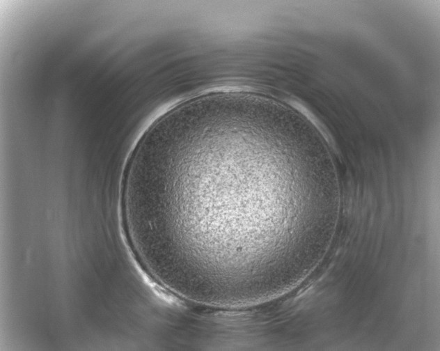 X0000065240861200602211211