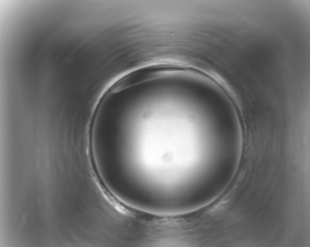 X0000065240862200602211211