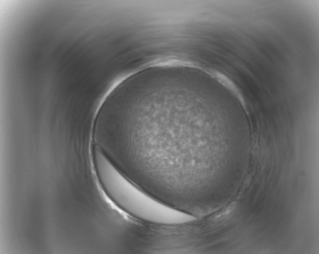 X0000065240863200602211211