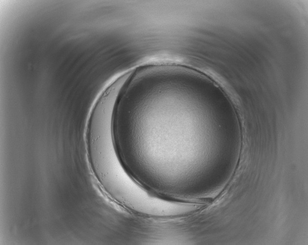 X0000065240864200602211211