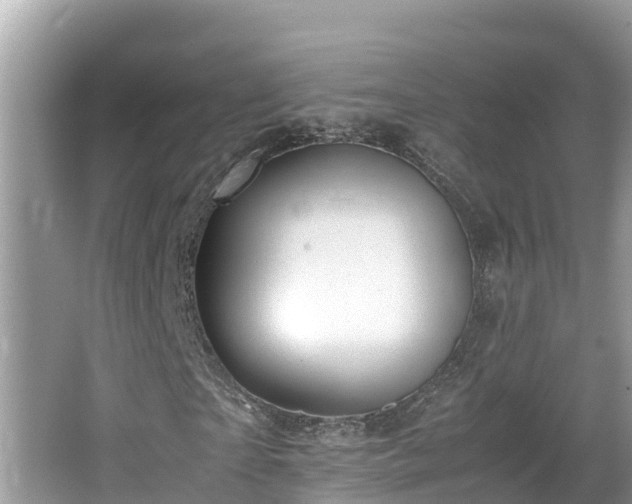 X0000065240865200602211210