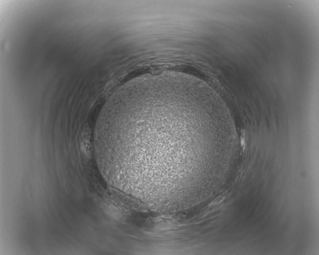 X0000065240867200602211210