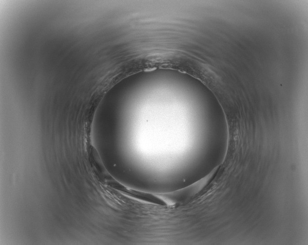 X0000065240868200602211210