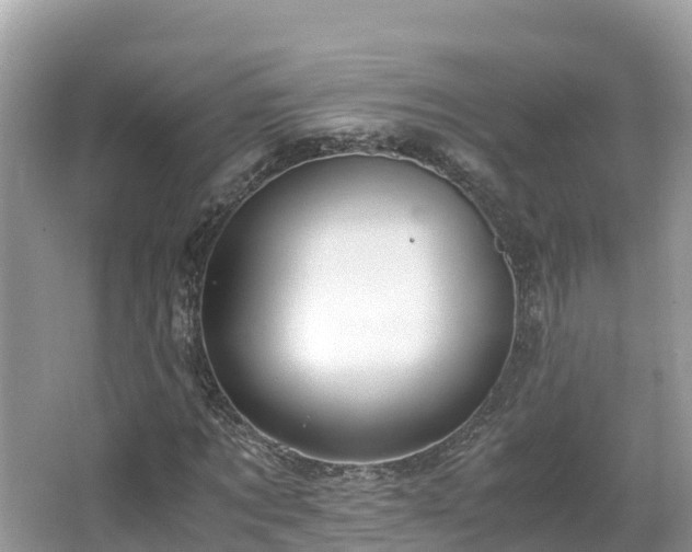 X0000065240869200602211210