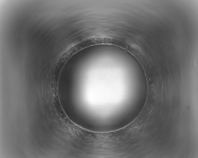 X0000065240870200602211210