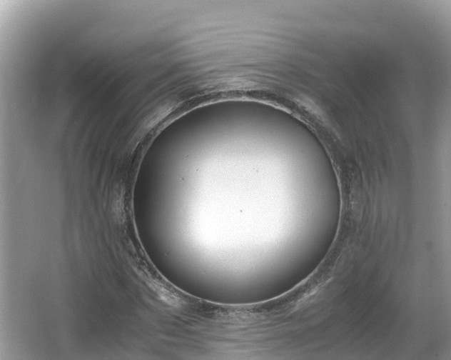 X0000065240873200602211210