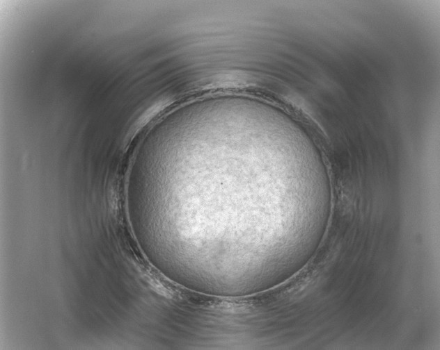 X0000065240874200602211210